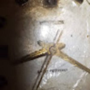 Meet your Posher, Carole